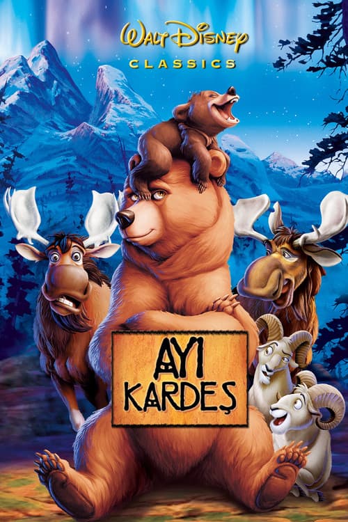 Ayı Kardeş afişi