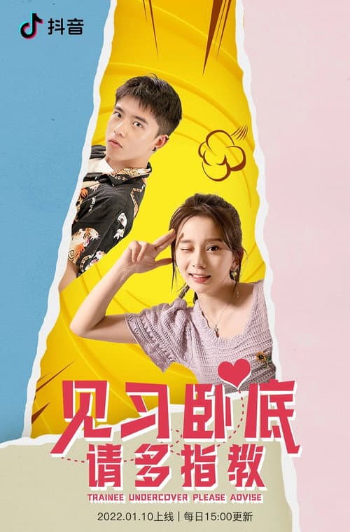 见习卧底，请多指教 afişi