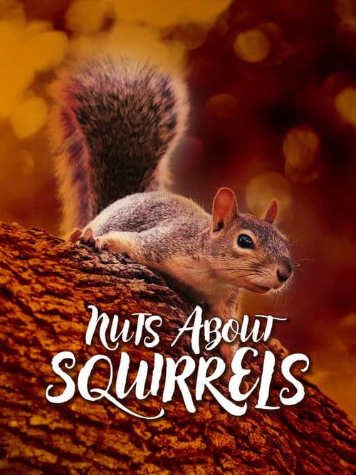 Nuts About Squirrels afişi