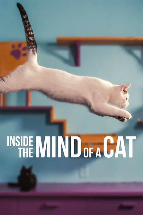 Inside the Mind of a Cat afişi