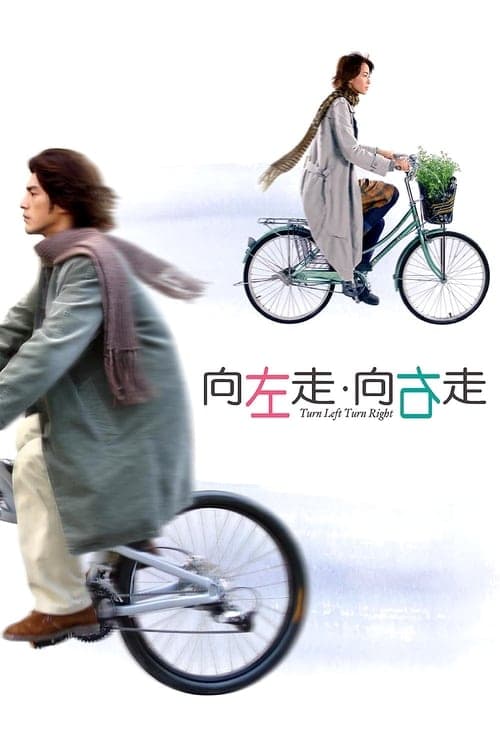 向左走．向右走 afişi