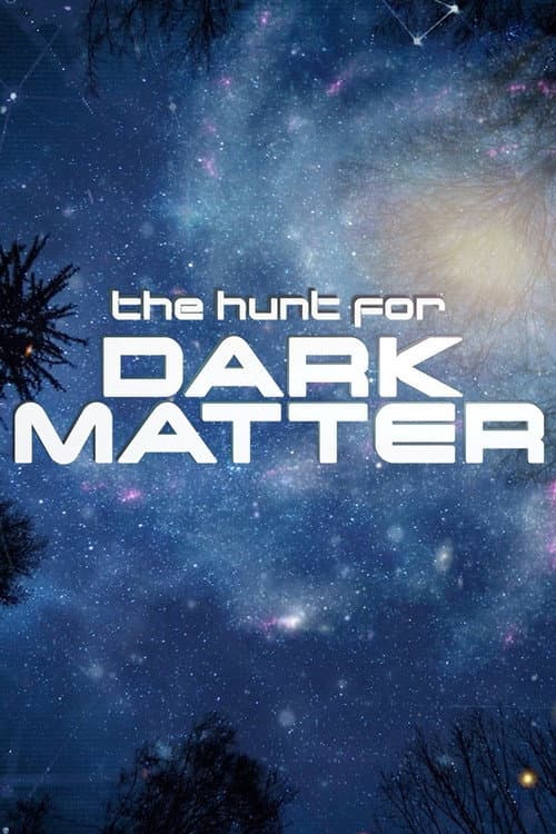 The Hunt for Dark Matter afişi
