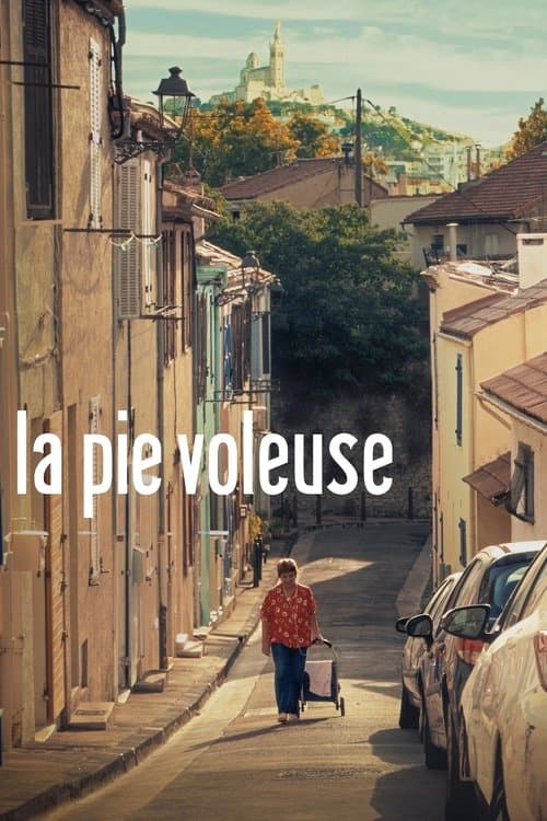 La Pie voleuse afişi