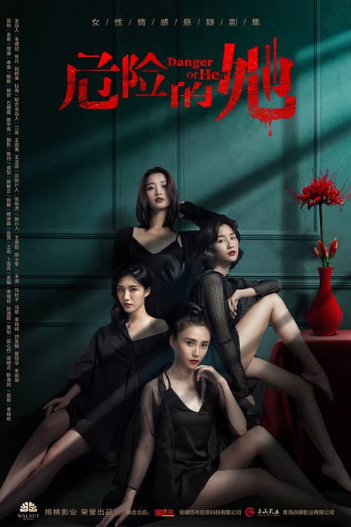 危险的她 afişi