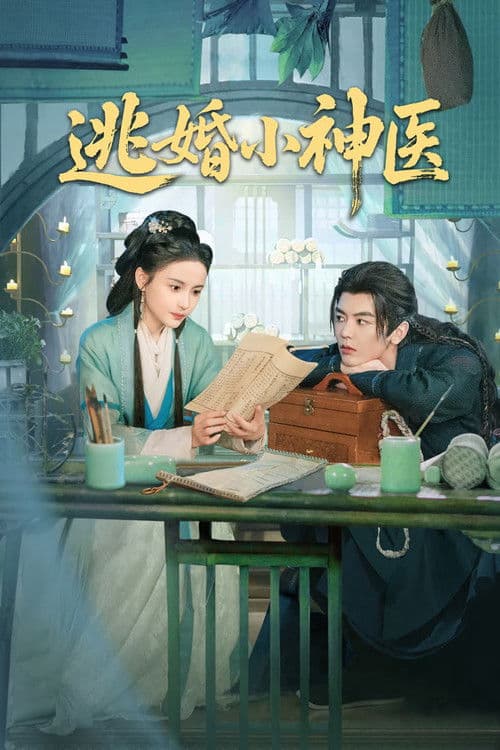 逃婚小神医 afişi