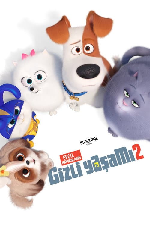 Evcil Hayvanların Gizli Yaşamı 2 afişi