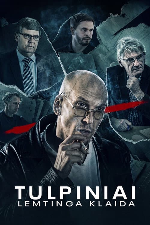 Tulpiniai. Lemtinga klaida afişi