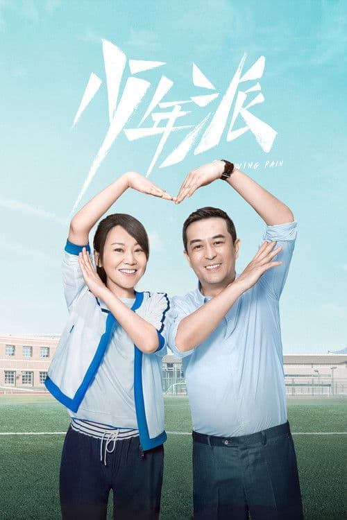 少年派 afişi