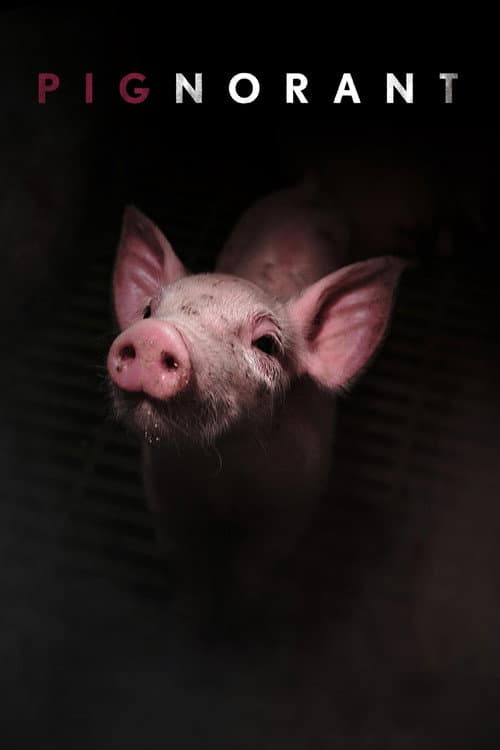 Pignorant afişi