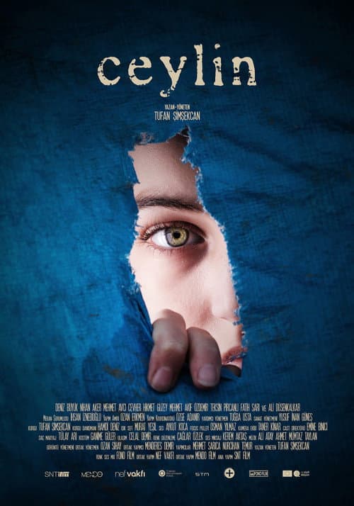 Ceylin afişi