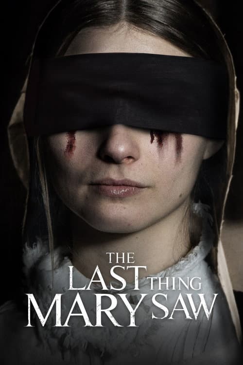The Last Thing Mary Saw afişi