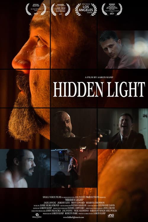 Hidden Light afişi