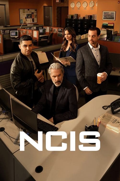 NCIS afişi