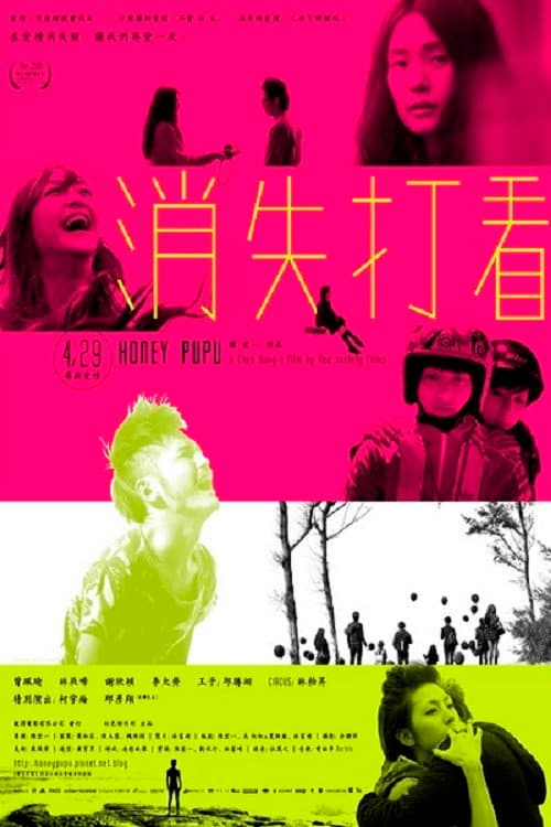 消失打看 afişi