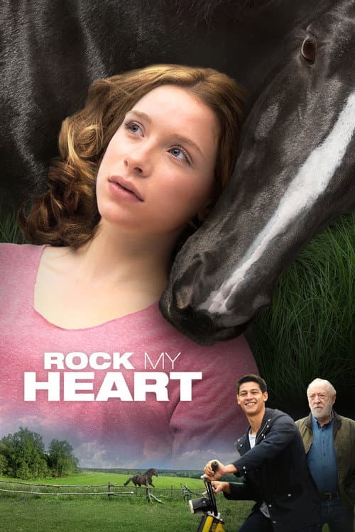Rock My Heart afişi