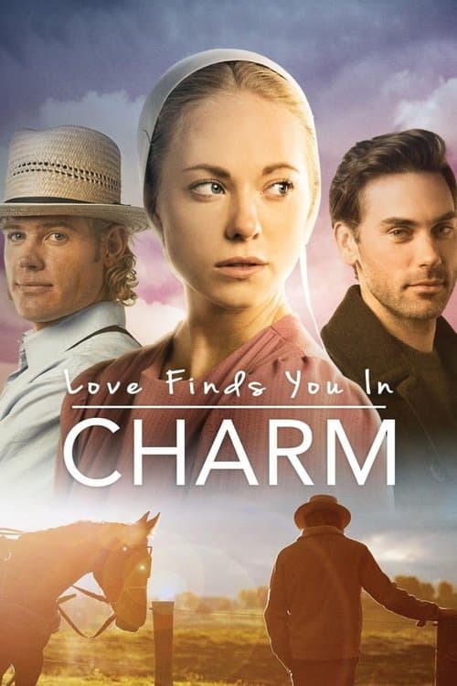 Love Finds You in Charm afişi