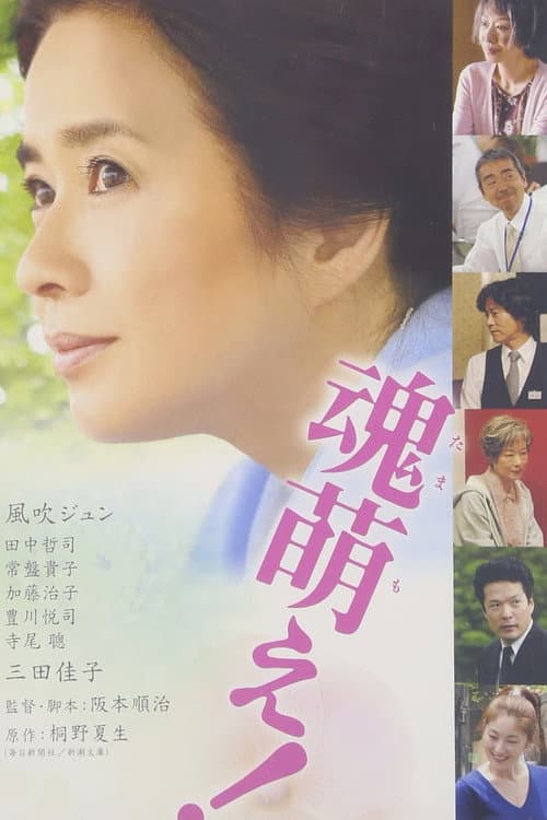 魂萌え！ afişi