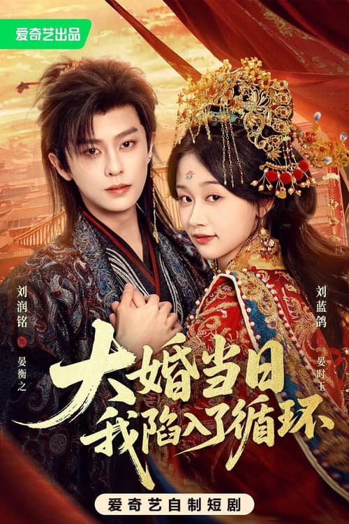 大婚当日我陷入了循环 afişi