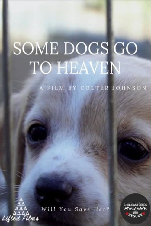 Some Dogs Go to Heaven afişi