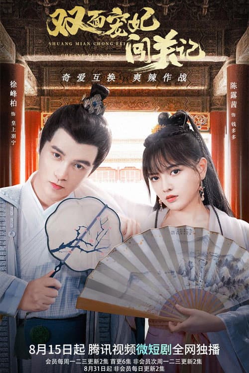双面宠妃闯关记 afişi