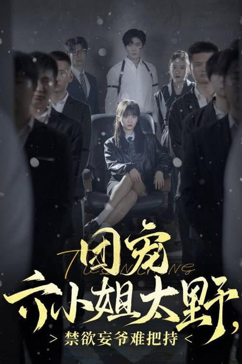 团宠六小姐太野，禁欲妄爷难把持 afişi