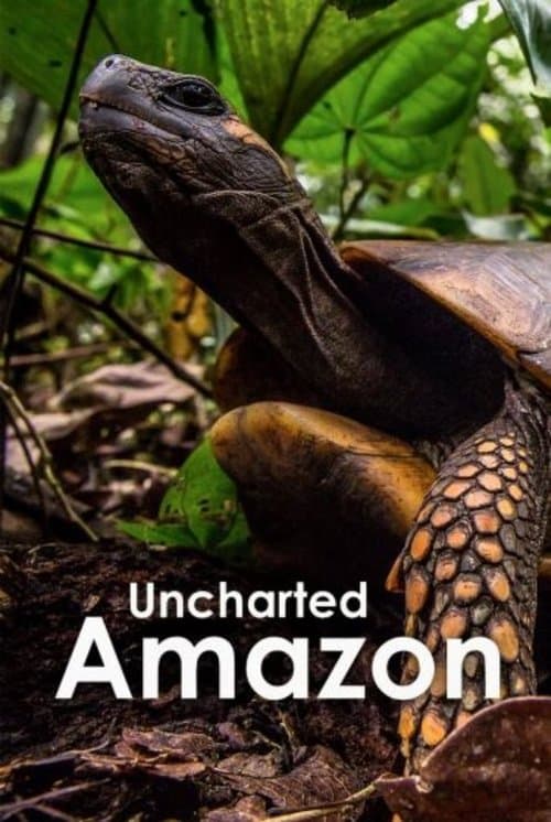 Uncharted Amazon afişi