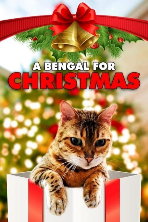 A Bengal for Christmas afişi
