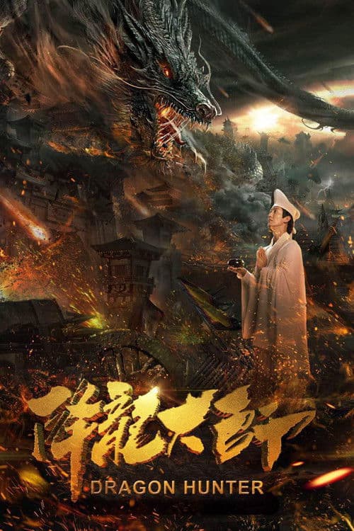 降龙大师 afişi