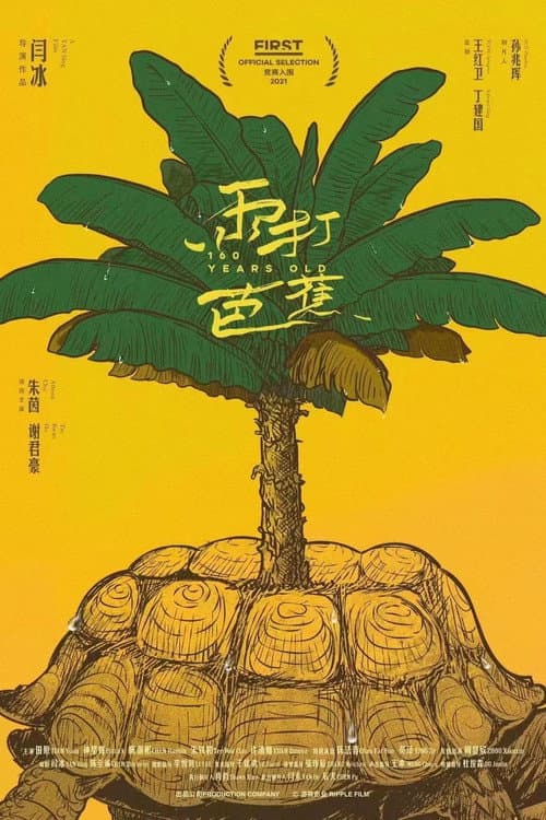 雨打芭蕉 afişi