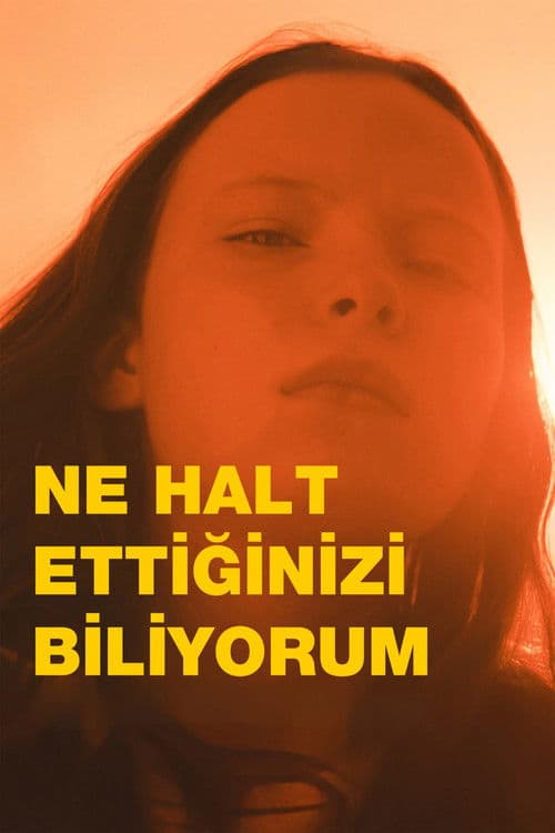 Ne Halt Ettiğinizi Biliyorum afişi