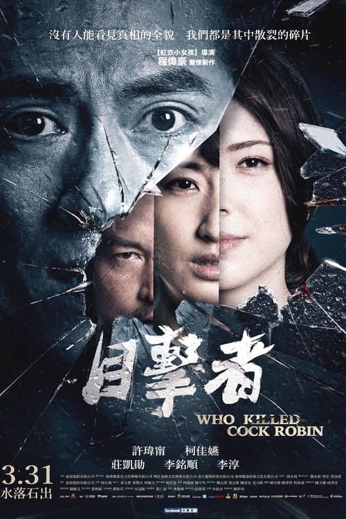 目擊者 afişi