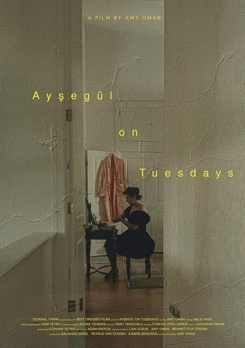 Ayşegül on Tuesdays afişi