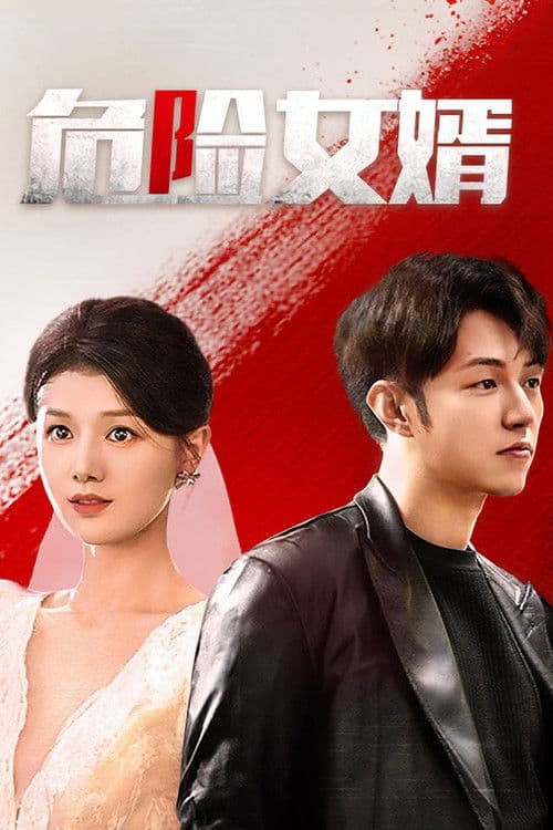 危险女婿 afişi