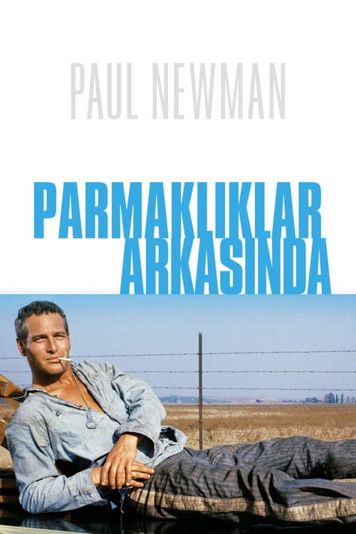 Parmaklıklar Arasında afişi