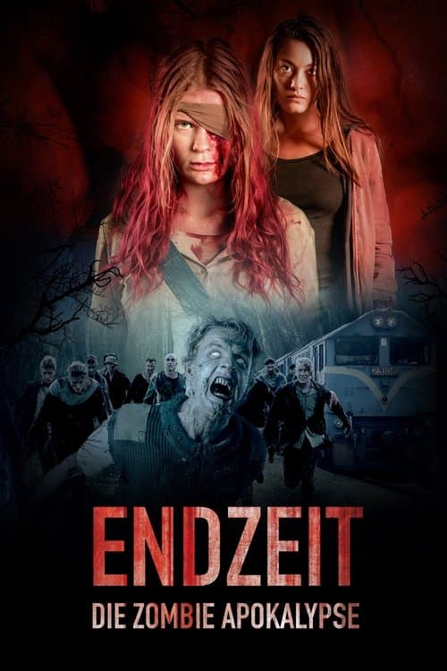 Endzeit afişi