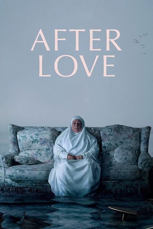 After Love afişi