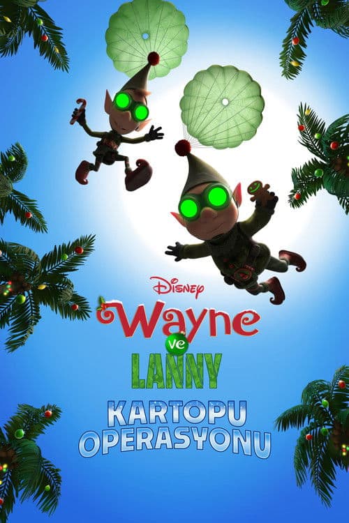 Wayne ve Lanny: Kartopu Operasyonu afişi