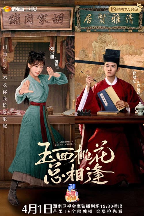 玉面桃花总相逢 afişi