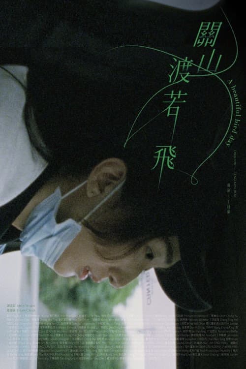 關山渡若飛 afişi