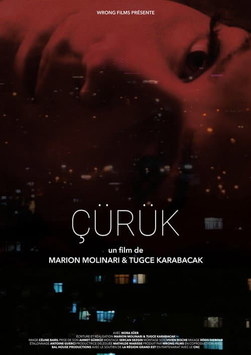 Çürük afişi