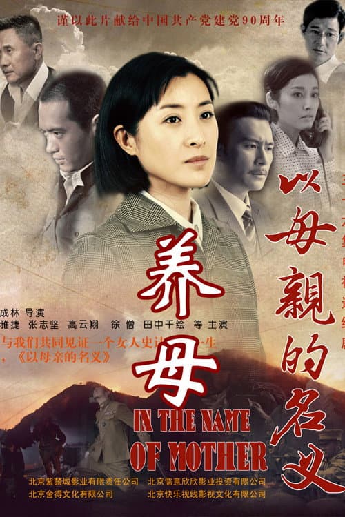 养母 afişi