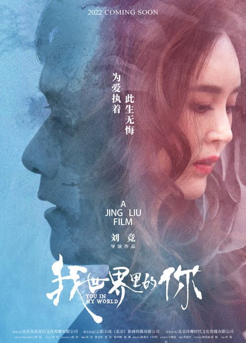 我世界里的你 afişi