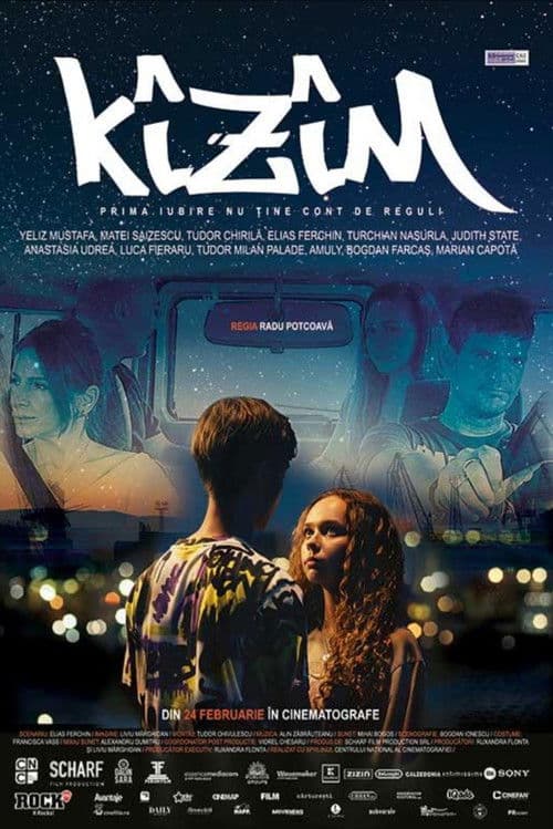 Kîzîm afişi