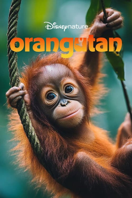 Orangutan afişi