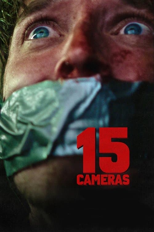 15 Cameras afişi