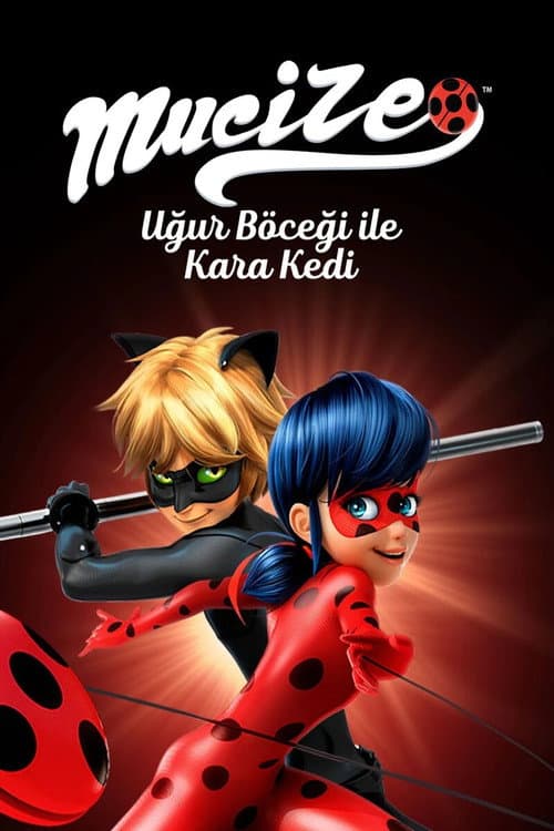 Mucize: Uğur Böceği ile Kara Kedi afişi