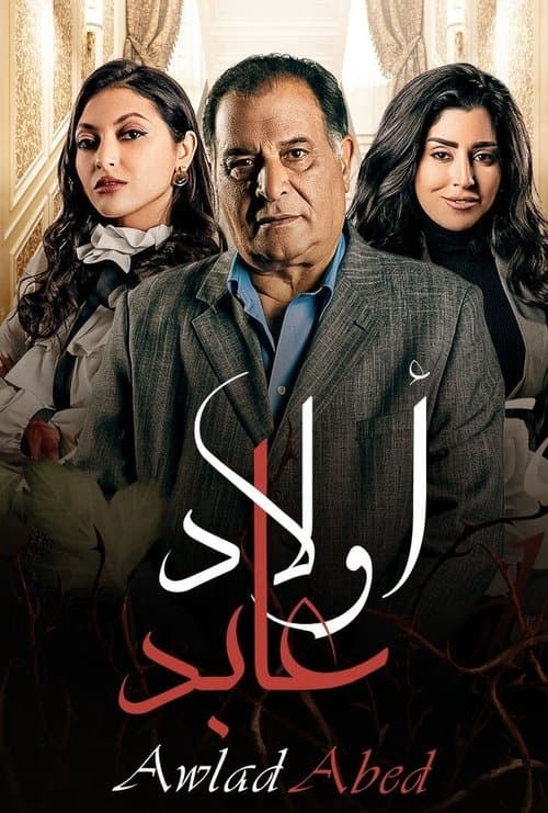 أولاد عابد afişi
