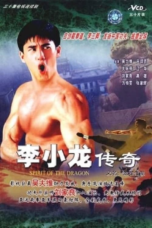 李小龍傳 afişi