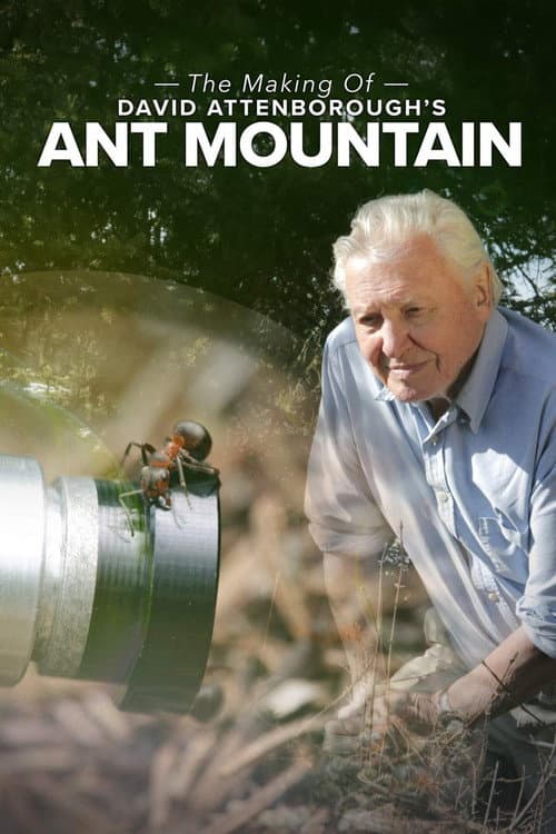 The Making of David Attenborough's Ant Mountain afişi