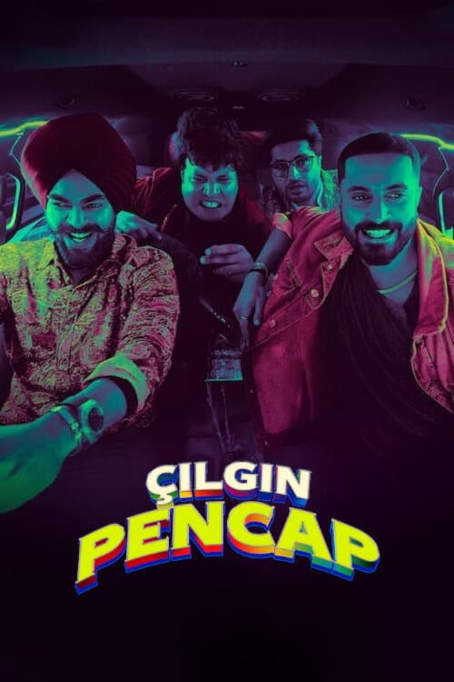 Çılgın Pencap afişi